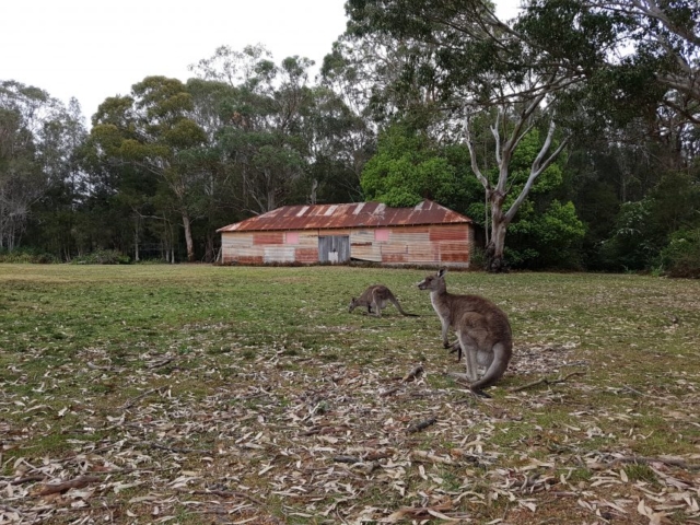 Australia